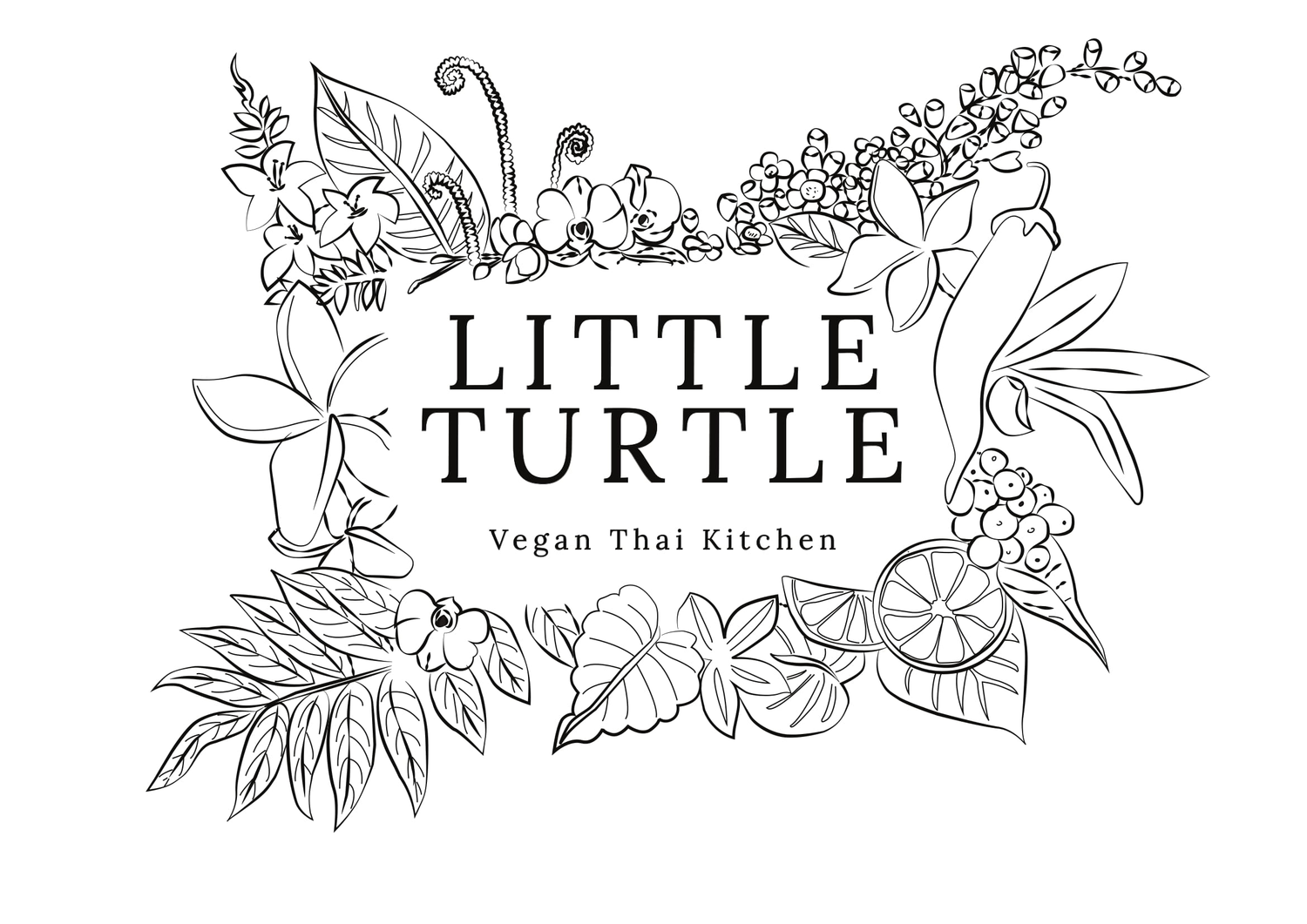 Little Turtle Thai Vegan Enmore